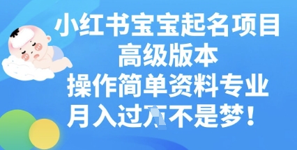 小红书宝宝起名项目高级版本,操作简单,资料专业,月入过W-网创小站