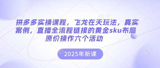 拼多多实操课程,飞龙在天玩法,真实案例,直播全流程链接的黄金sku布局原价操作六个活动-网创小站