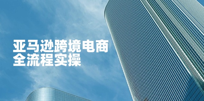 （14252期）亚马逊跨境电商全流程实操，教你从零开始，掌握店铺运营与广告技巧-网创小站