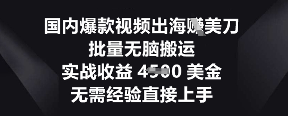 国内爆款视频出海挣美刀,批量无脑搬运,实战收益4.5k,无需经验直接上手-网创小站
