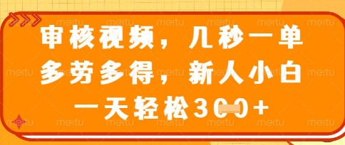 最新审核视频，几秒一单，多劳多得，新人小白一天轻松3张【揭秘】-网创小站