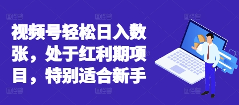 视频号轻松日入数张,处于红利期项目,特别适合新手-网创小站