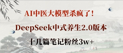 AI中医大模型杀疯了！DeepSeek中式养生2.0版本，十几篇笔记粉丝3w+-网创小站