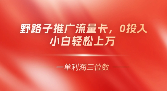 0门槛推广流量卡,一单收益上百,0投入,小白月入过W-网创小站