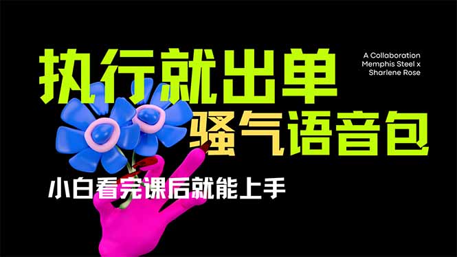 （14170期）爆火全网的开车导航骚气语音包,只要执行就出单，小白看完课程就能实操...-网创小站