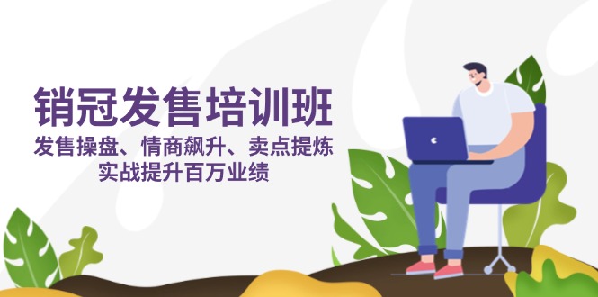 （14203期）销冠 发售培训班：发售 操盘+情商 飙升+卖点 提炼，实战提升百万业绩-网创小站