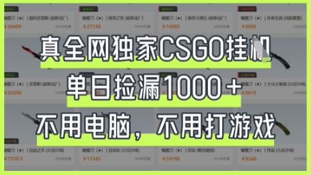 真全网独家CSGO挂G,单日捡漏1k+【揭秘】-网创小站