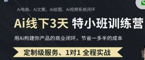 AI实操培训第20-21期线下，0基础保姆级教程，3月最新整理，企业获客、降本增效、打造超级个体-网创小站