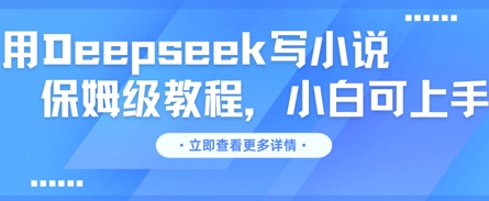 用Deepseek写小说,保姆级教程,小白可实操-网创小站