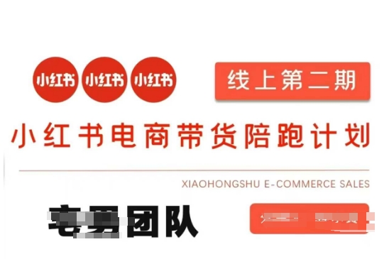 小红书电商带货课2期，月利润20个的小红书电商的有货源，无货源，虚拟产品，付费投流等整套玩法-网创小站