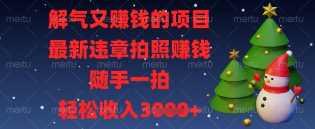 解气又挣钱的项目,最新违章拍照挣钱,随手一拍,轻松收入数张【揭秘】-网创小站